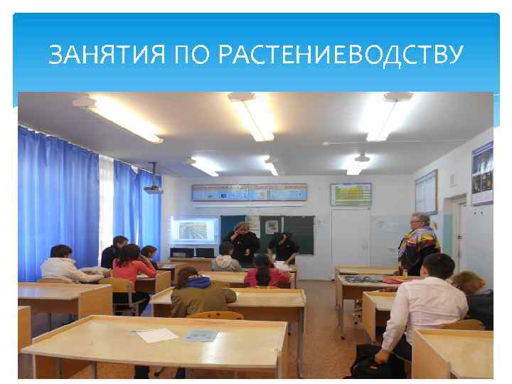 ЗАНЯТИЯ ПО РАСТЕНИЕВОДСТВУ 