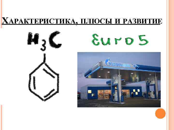 ХАРАКТЕРИСТИКА, ПЛЮСЫ И РАЗВИТИЕ 