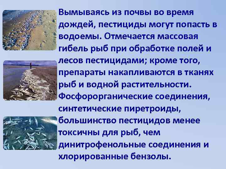 Вымываясь из почвы во время дождей, пестициды могут попасть в водоемы. Отмечается массовая гибель