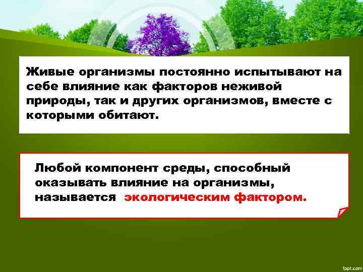 Живые организмы постоянно испытывают на себе влияние как факторов неживой природы, так и других