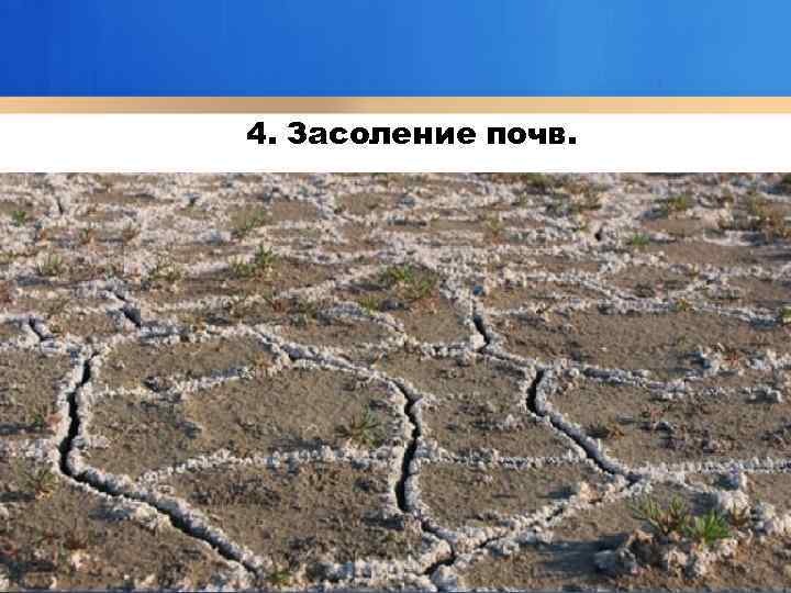 4. Засоление почв. 