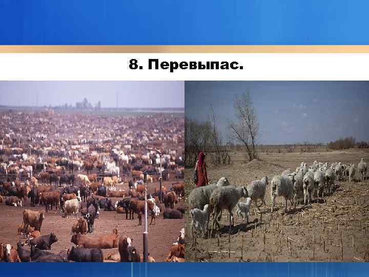 8. Перевыпас. 