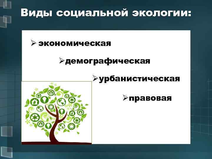 Виды социальной экологии: Ø экономическая Øдемографическая Øурбанистическая Øправовая 