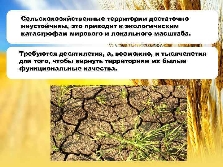 Сельскохозяйственные территории достаточно неустойчивы, это приводит к экологическим катастрофам мирового и локального масштаба. Требуются
