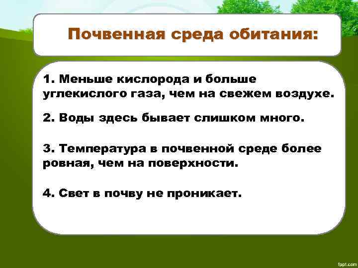 Почвенная среда обитания: 1. Меньше кислорода и больше углекислого газа, чем на свежем воздухе.