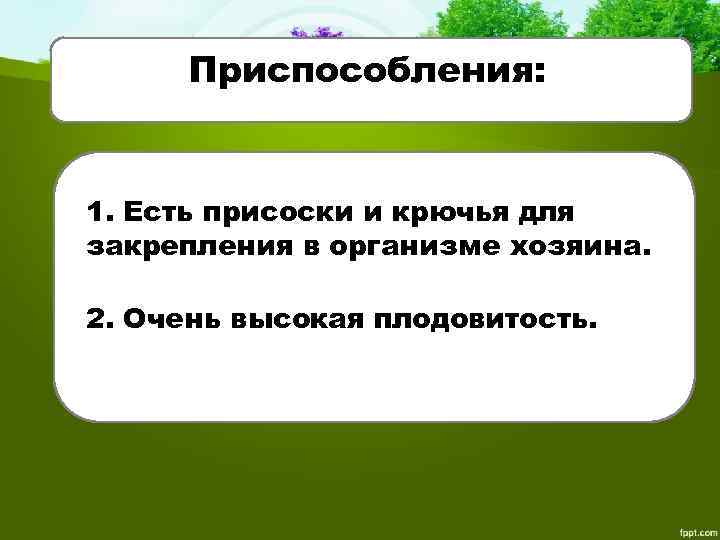 Приспособления: 1. Есть присоски и крючья для закрепления в организме хозяина. 2. Очень высокая