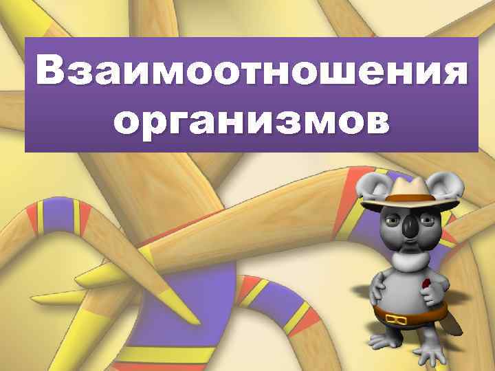 Взаимоотношения организмов 