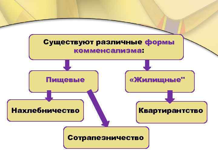 Существуют различные формы комменсализма: комменсализма Пищевые Нахлебничество «Жилищные