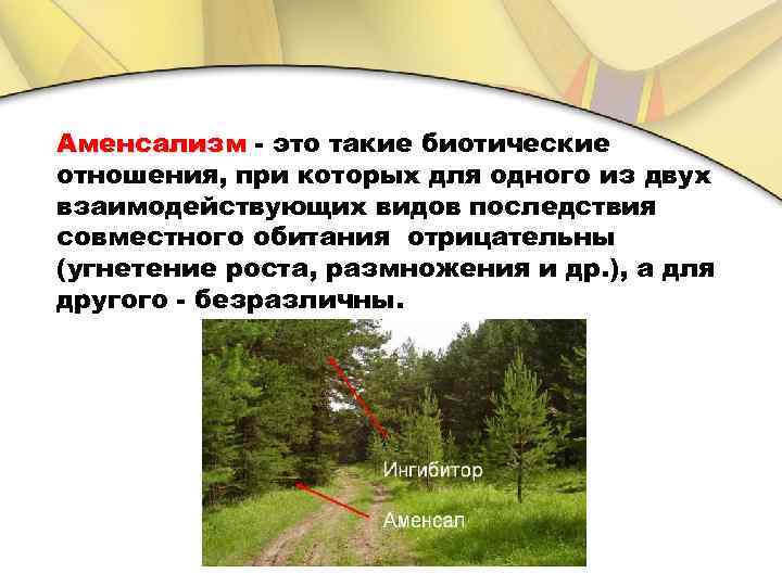 Аменсализм - это такие биотические отношения, при которых для одного из двух взаимодействующих видов