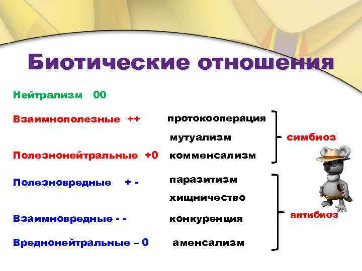 Биотические отношения Нейтрализм 00 Взаимнополезные ++ протокооперация мутуализм Полезнонейтральные +0 комменсализм Полезновредные симбиоз паразитизм