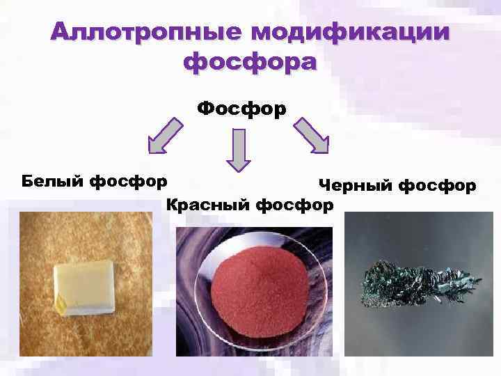 Аллотропные модификации фосфора Фосфор Белый фосфор Черный фосфор Красный фосфор 