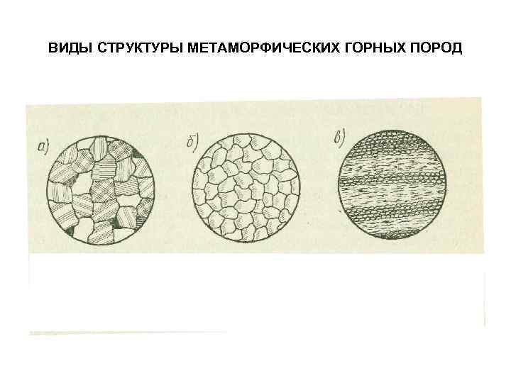 ВИДЫ СТРУКТУРЫ МЕТАМОРФИЧЕСКИХ ГОРНЫХ ПОРОД 