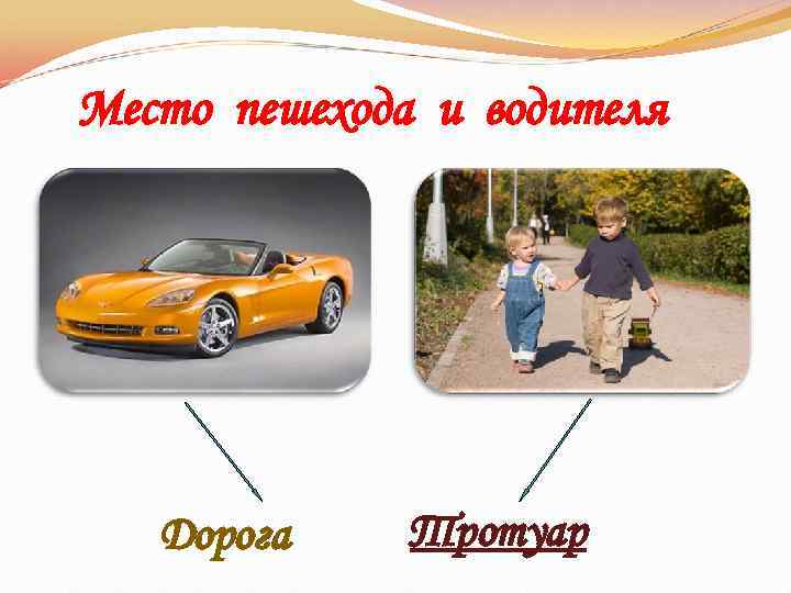 Место пешехода и водителя Дорога Тротуар 