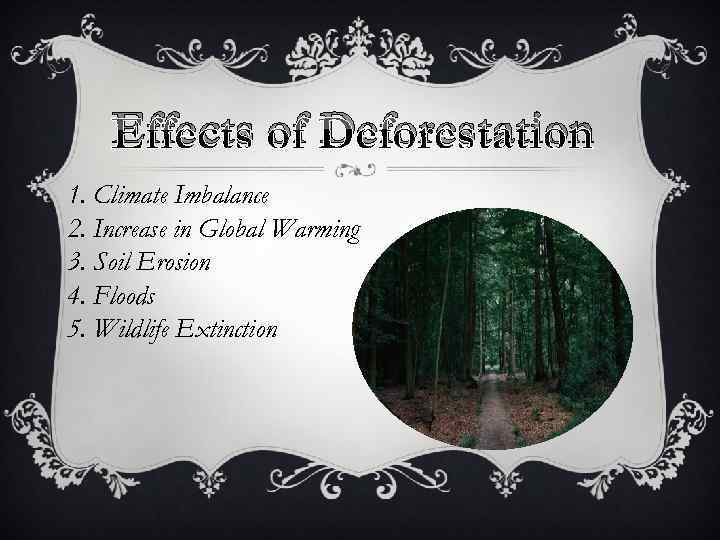 Effects of Deforestation 1. Climate Imbalance 2. Increase in Global Warming 3. Soil Erosion