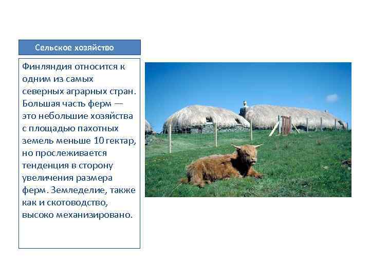 Сельское хозяйство Финляндия относится к одним из самых северных аграрных стран. Большая часть ферм