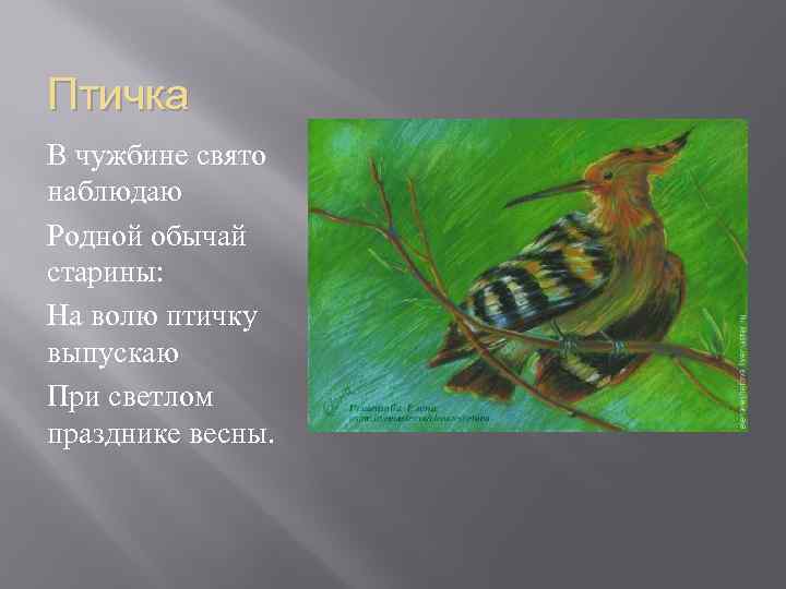 Птичка В чужбине свято наблюдаю Родной обычай старины: На волю птичку выпускаю При светлом
