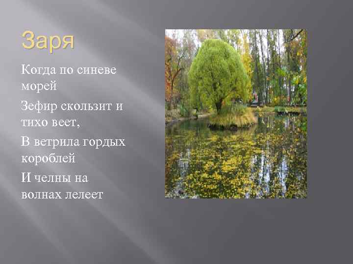 Тихо веет теплый ветерок. Пушкин когда по синеве морей. Стих ясно утро тихо веет.