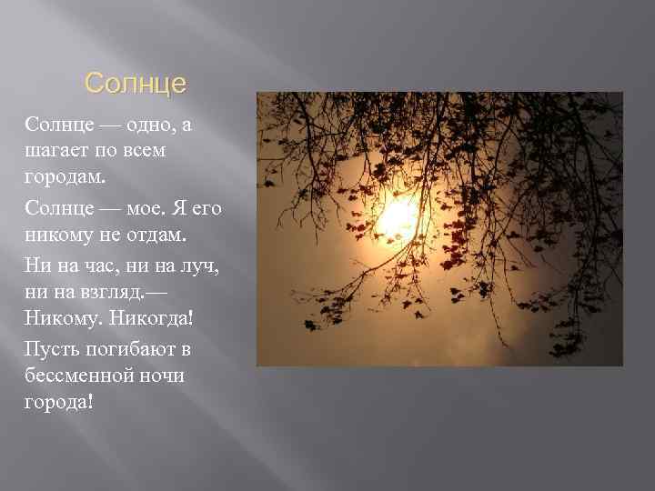 Солнце — одно, а шагает по всем городам. Солнце — мое. Я его никому