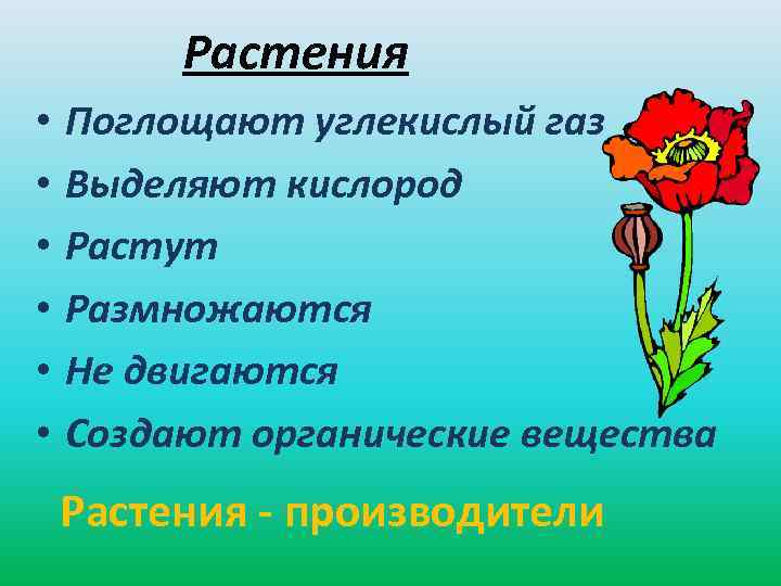 Растения • • • Поглощают углекислый газ Выделяют кислород Растут Размножаются Не двигаются Создают