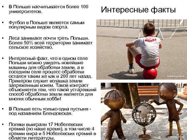  • В Польше насчитывается более 100 университетов. • Футбол в Польше является самым