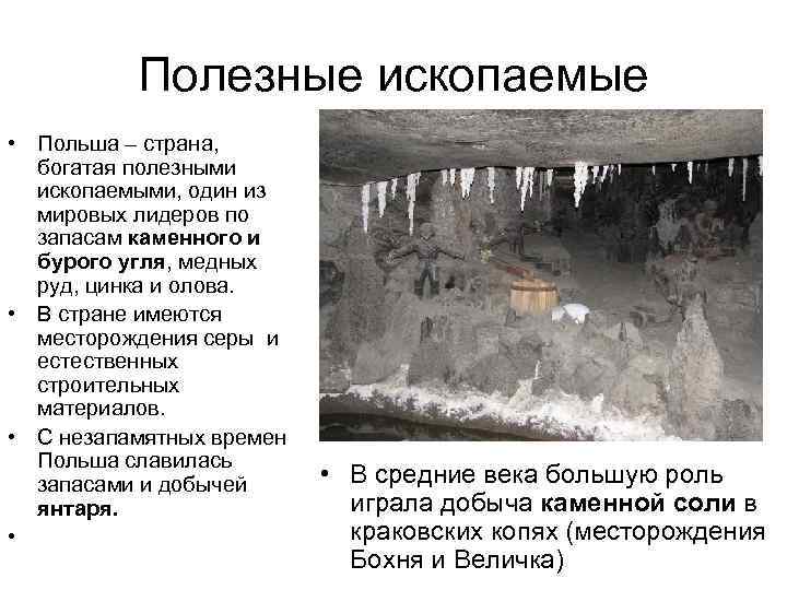 Полезные ископаемые • Польша – страна, богатая полезными ископаемыми, один из мировых лидеров по