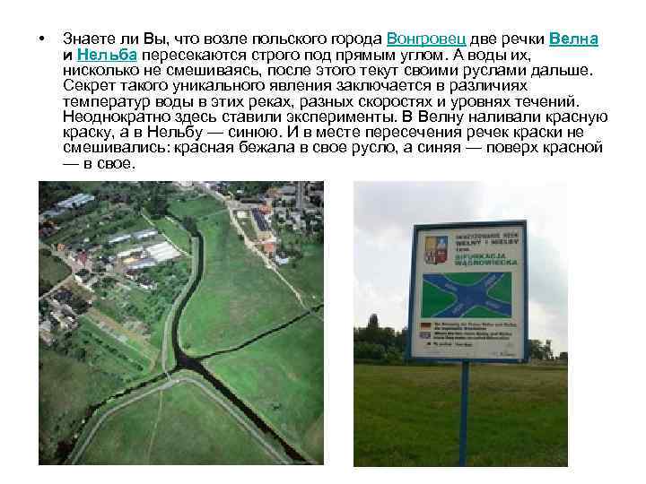  • Знаете ли Вы, что возле польского города Вонгровец две речки Велна и