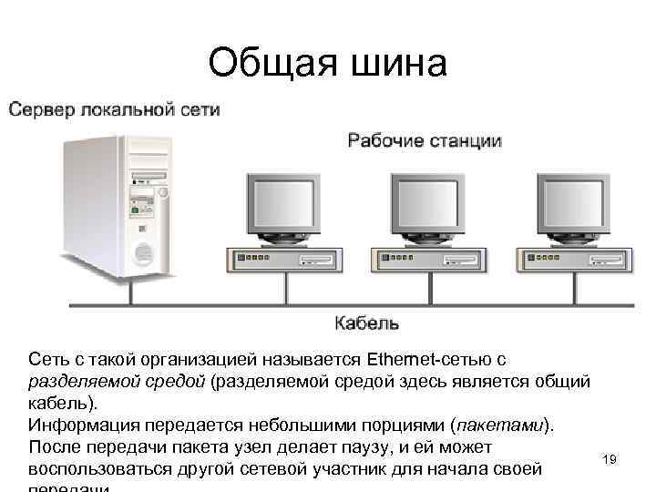 Вид сети шина. Общая шина топология сети схема.