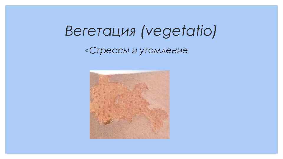 Вегетация (vegetatio) ◦ Стрессы и утомление 