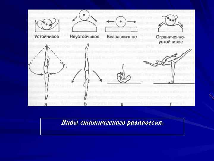 Рисунок безразличного равновесия