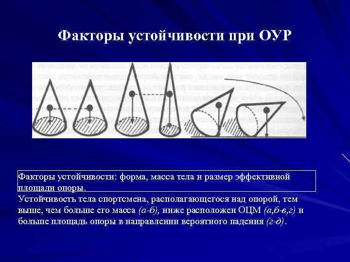 Факторы устойчивости при ОУР Факторы устойчивости: форма, масса тела и размер эффективной площади опоры.