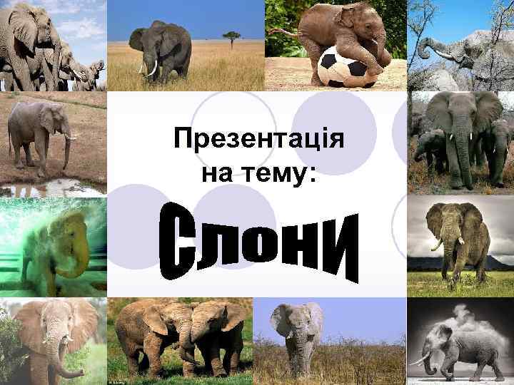 Презентація на тему: 