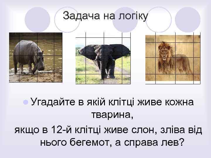 Задача на логіку l Угадайте в якій клітці живе кожна тварина, якщо в 12