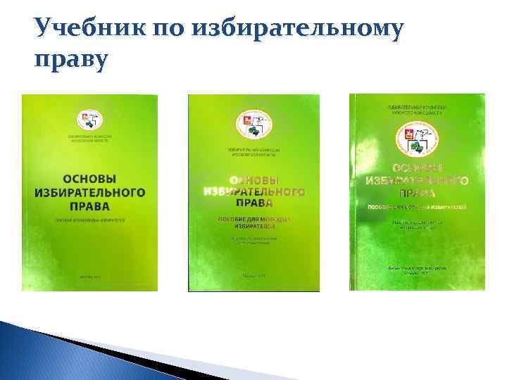 Учебник по избирательному праву 