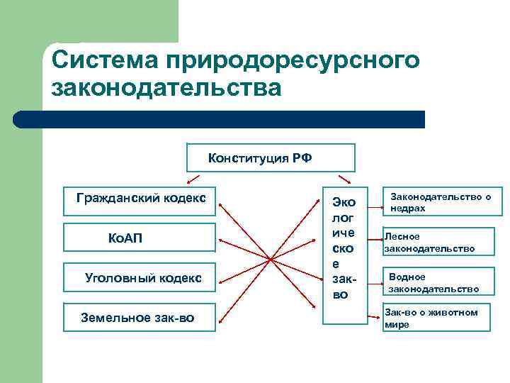 Система природоресурсного законодательства Конституция РФ Гражданский кодекс Ко. АП Уголовный кодекс Земельное зак-во Эко