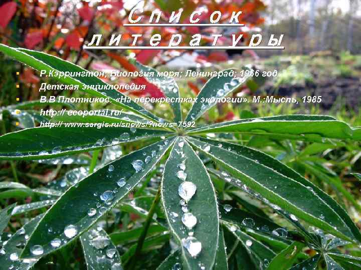 Список литературы § § Р. Кэррингтон; Биология моря; Ленинград; 1966 год Детская энциклопедия В.