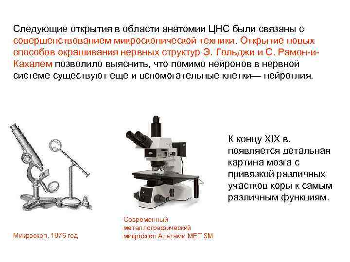 Функции микроскопа. Открытия в области анатомии. Микроскопической техники. Развитие микроскопической техники.. Открытия в области анатомии ЦНС.