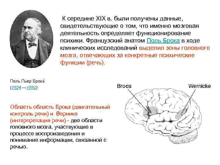  К середине XIX в. были получены данные, свидетельствующие о том, что именно мозговая