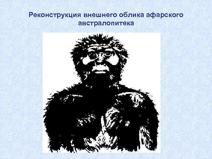 Реконструкция внешнего облика афарского австралопитека 