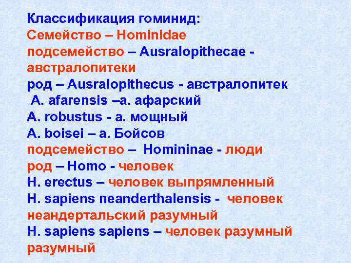 Классификация гоминид: Семейство – Hominidae подсемейство – Ausralopithecae австралопитеки род – Ausralopithecus - австралопитек