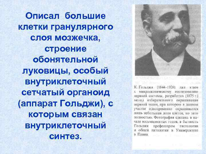 Описал большие клетки гранулярного слоя мозжечка, строение обонятельной луковицы, особый внутриклеточный сетчатый органоид (аппарат