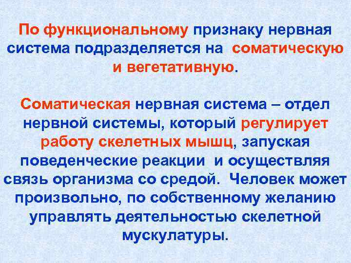 По функциональному признаку нервная система подразделяется на соматическую и вегетативную. Соматическая нервная система –