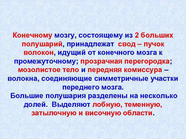 Конечному мозгу, состоящему из 2 больших полушарий, принадлежат свод – пучок волокон, идущий от