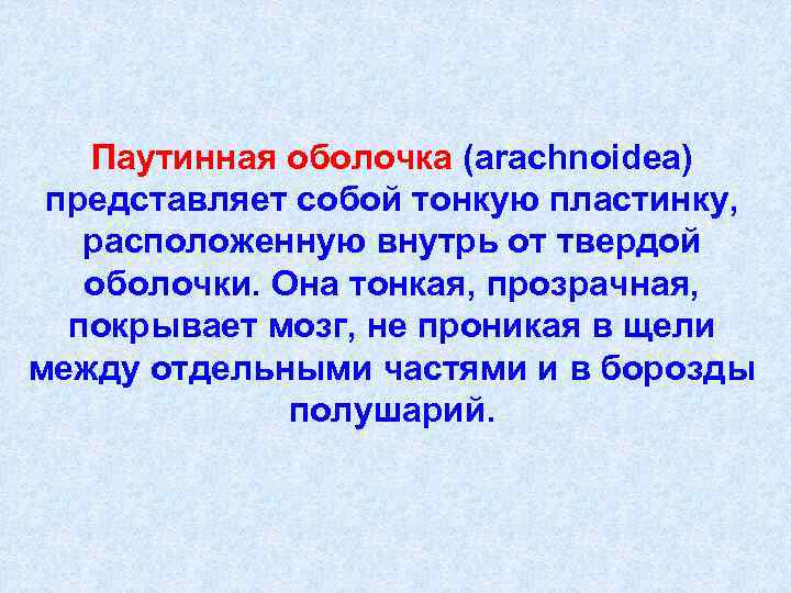 Паутинная оболочка (arachnoidea) представляет собой тонкую пластинку, расположенную внутрь от твердой оболочки. Она тонкая,