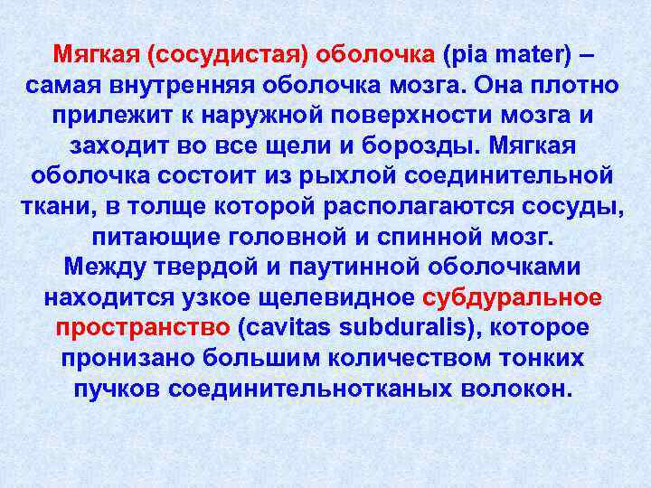 Мягкая (сосудистая) оболочка (pia mater) – самая внутренняя оболочка мозга. Она плотно прилежит к