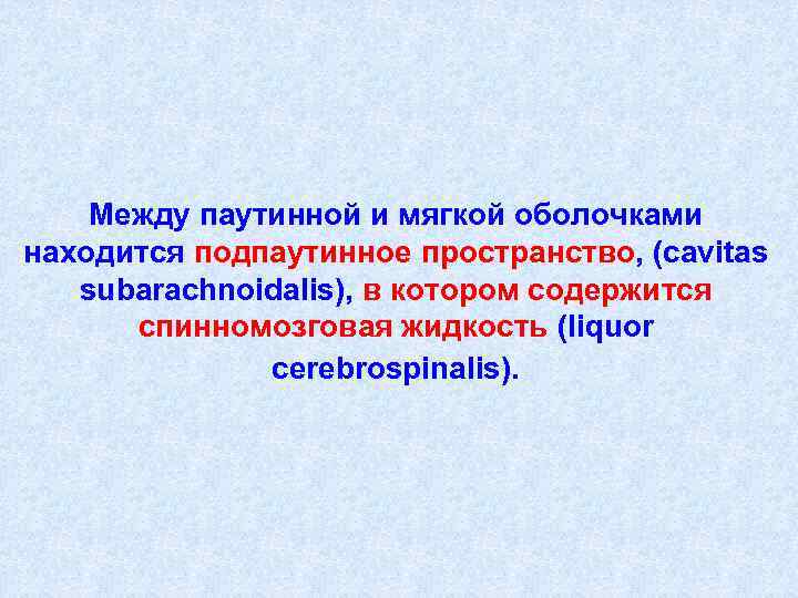 Между паутинной и мягкой оболочками находится подпаутинное пространство, (cavitas subarachnoidalis), в котором содержится спинномозговая
