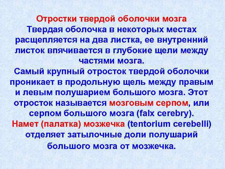 Отростки твердой оболочки мозга Твердая оболочка в некоторых местах расщепляется на два листка, ее