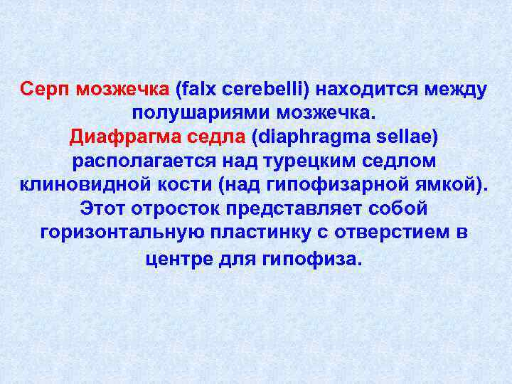 Серп мозжечка (falx cerebelli) находится между полушариями мозжечка. Диафрагма седла (diaphragma sellae) располагается над