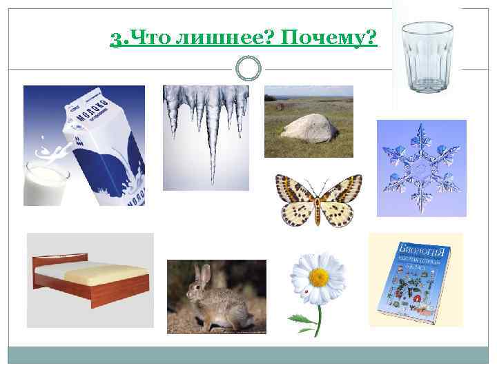 3. Что лишнее? Почему? 