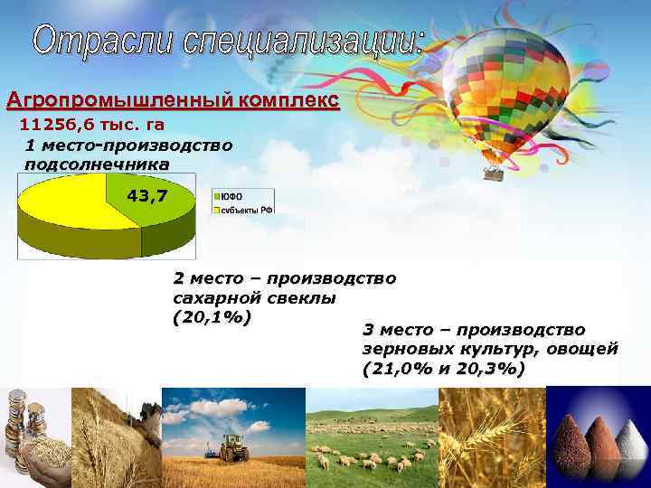 Агропромышленный комплекс 11256, 6 тыс. га 1 место-производство подсолнечника 43, 7 2 место –