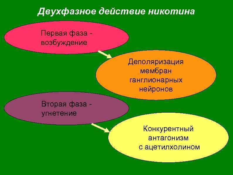 Двухфазное действие никотина Первая фаза возбуждение Деполяризация мембран ганглионарных нейронов Вторая фаза угнетение Конкурентный